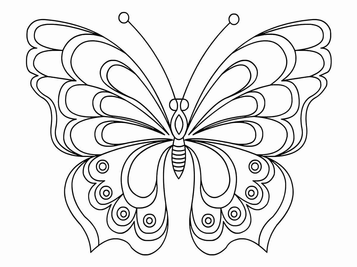 Butterfly painting drawing 71