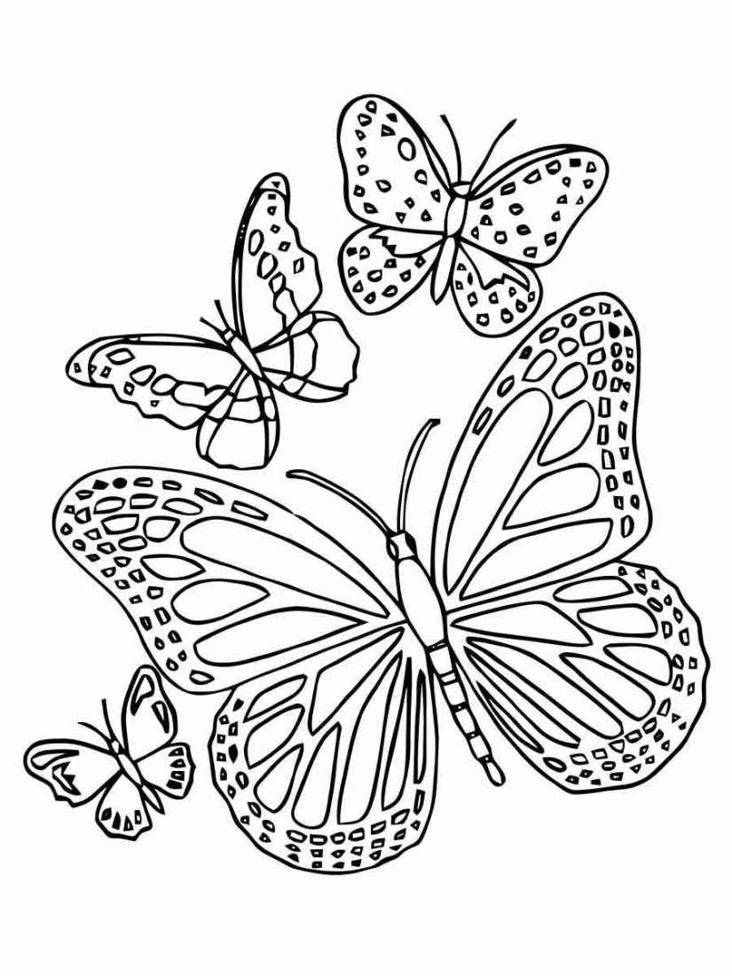 butterfly coloring drawing 86