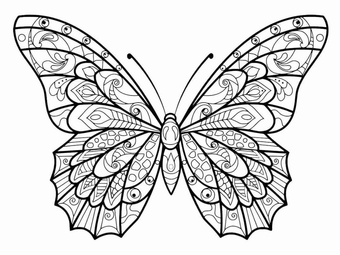 Butterfly mandala coloring drawing