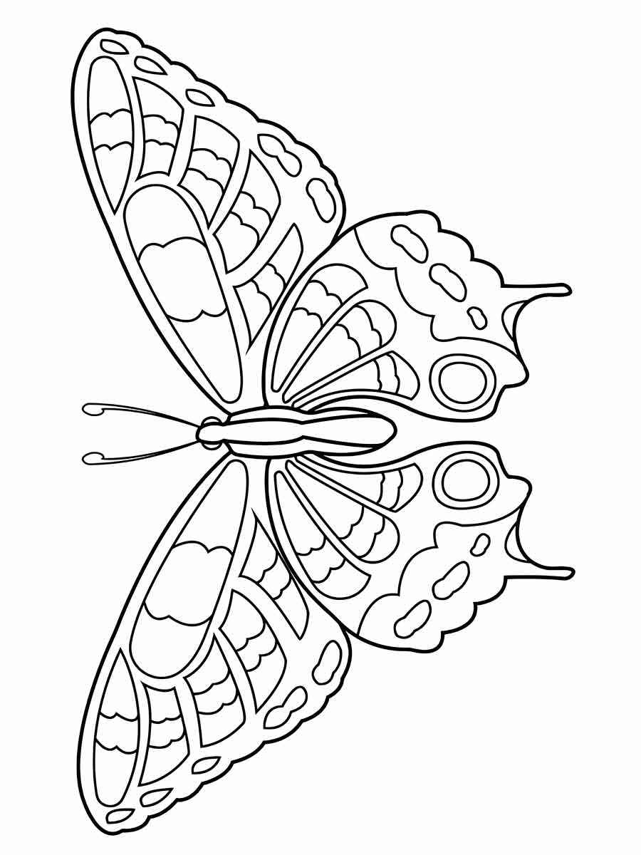 Butterfly coloring drawing