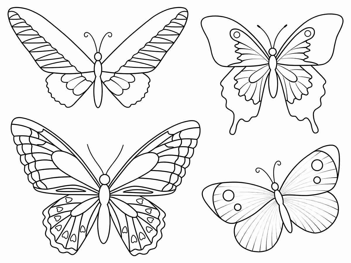 Butterfly coloring drawings 89