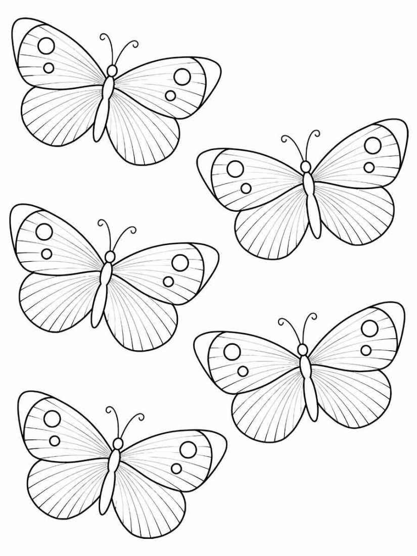 Butterfly drawings to color