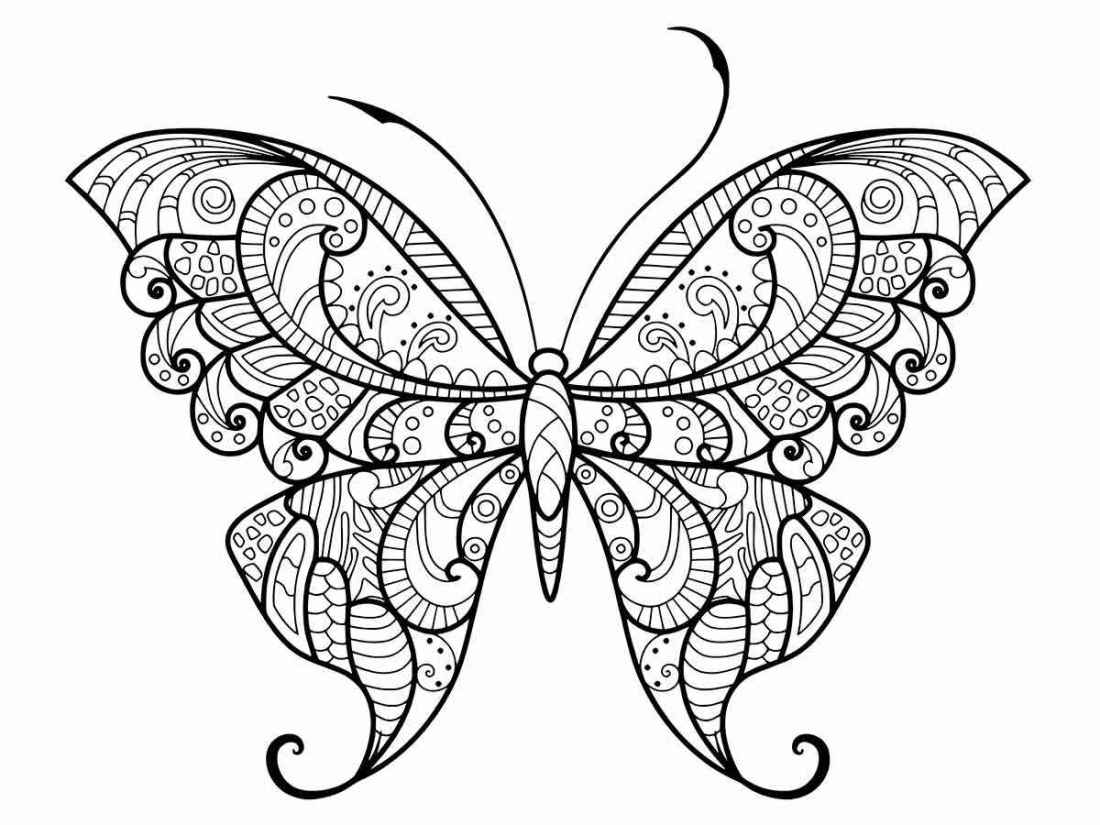 Butterfly coloring and printing drawings