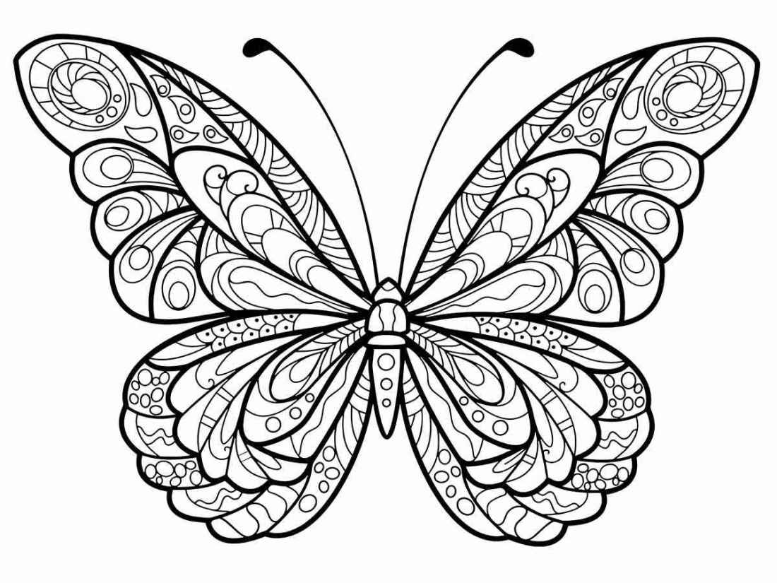 butterfly drawings to print