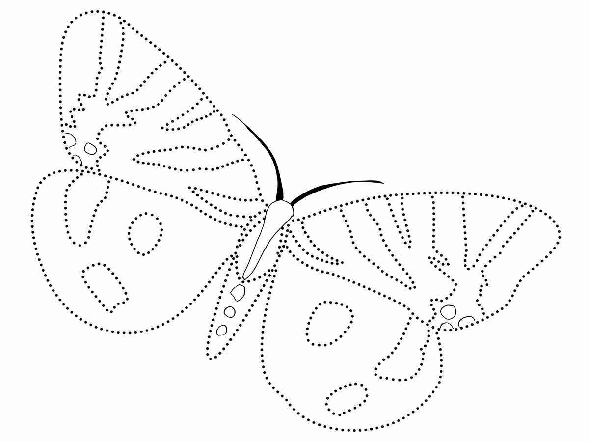 Educational butterfly drawing to paint