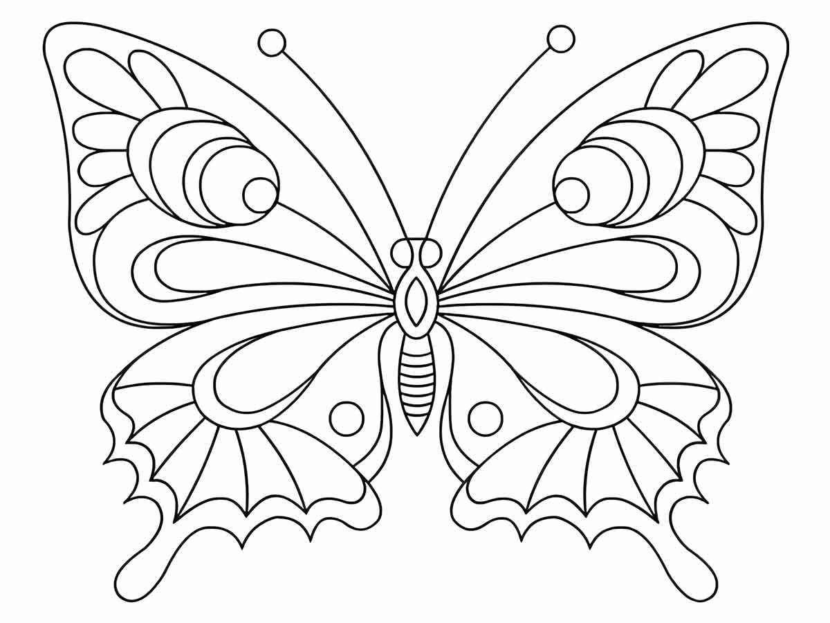 Butterfly coloring 11