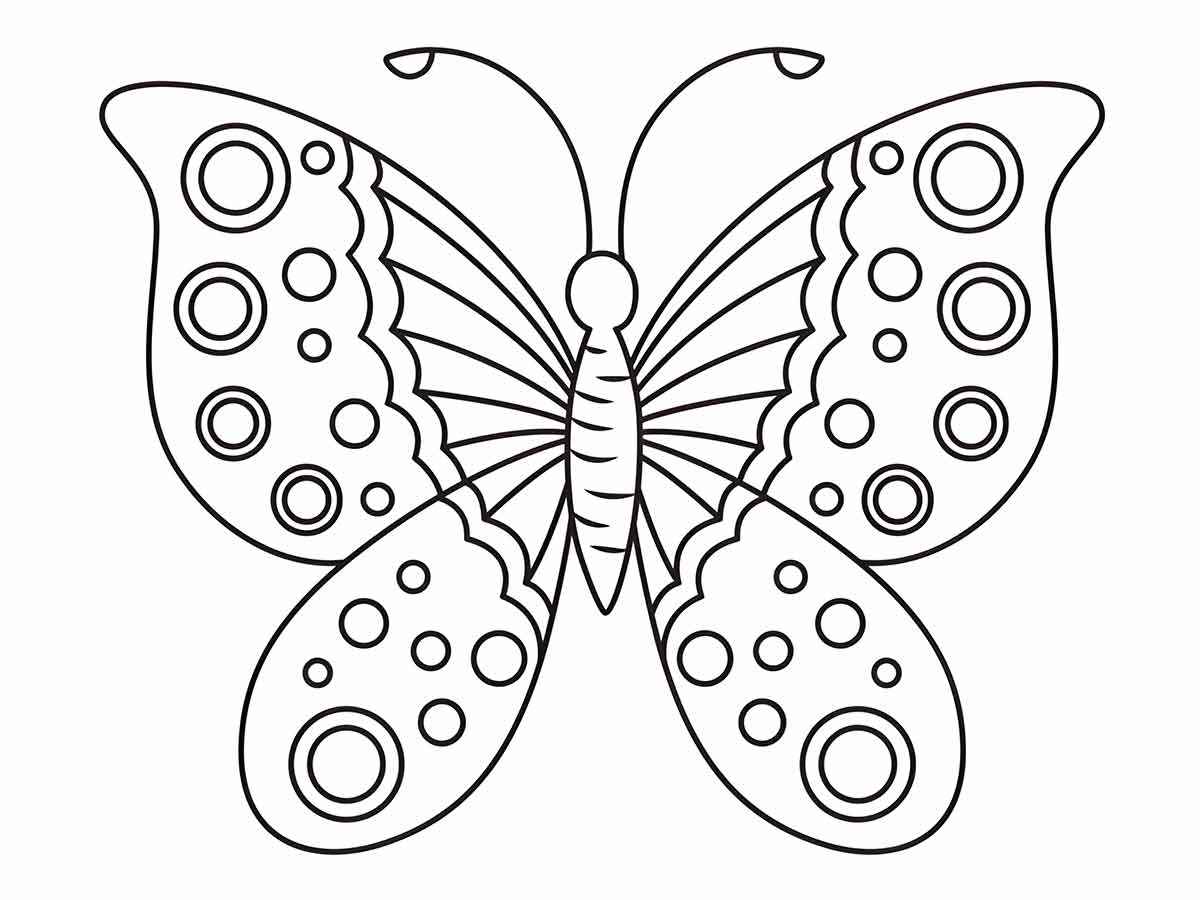 Butterfly coloring 12