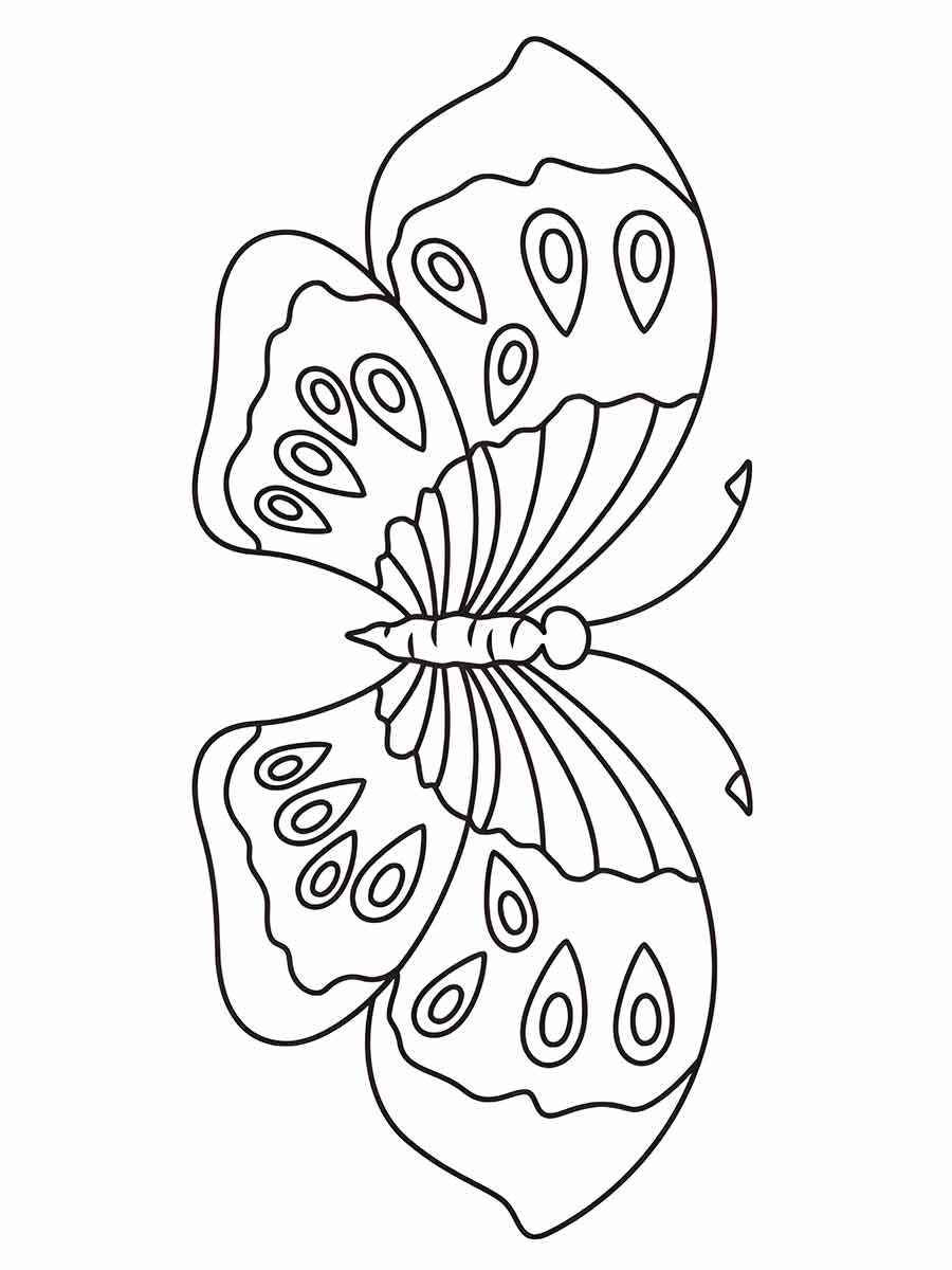 Butterfly coloring 13