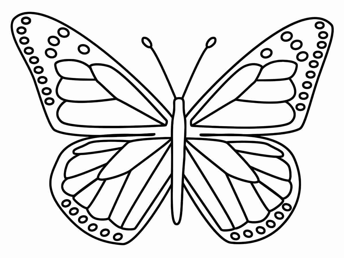 Butterfly coloring 14