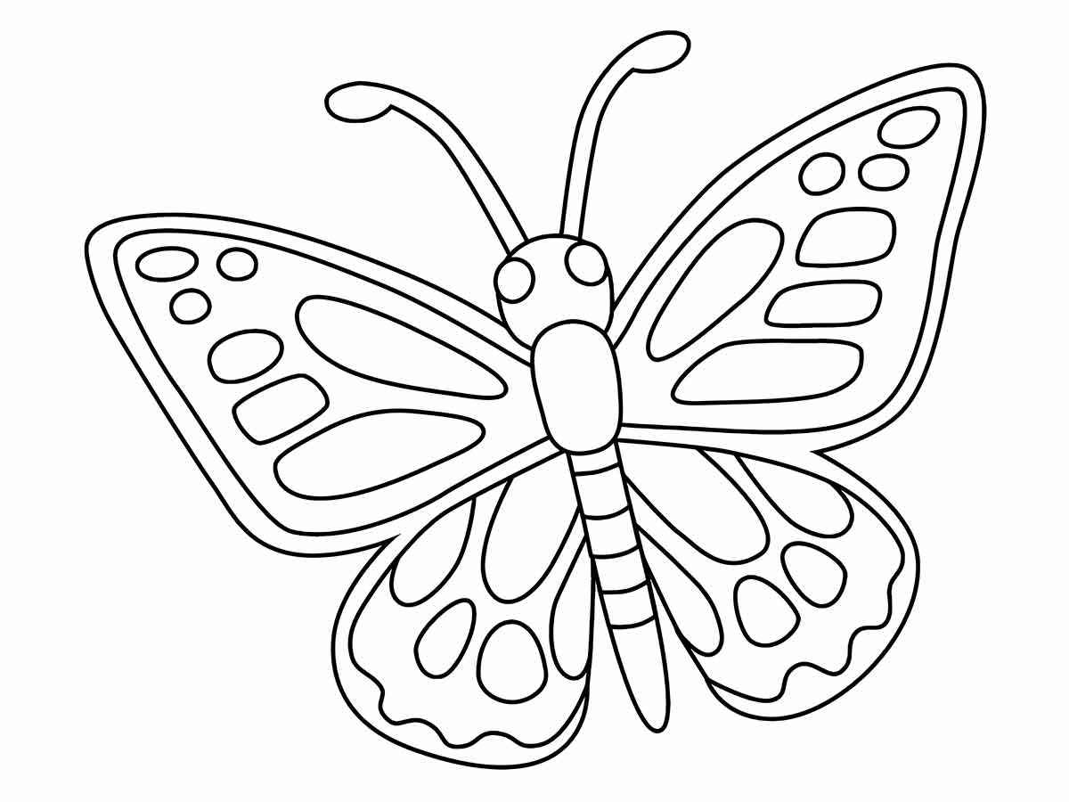 Butterfly coloring 15