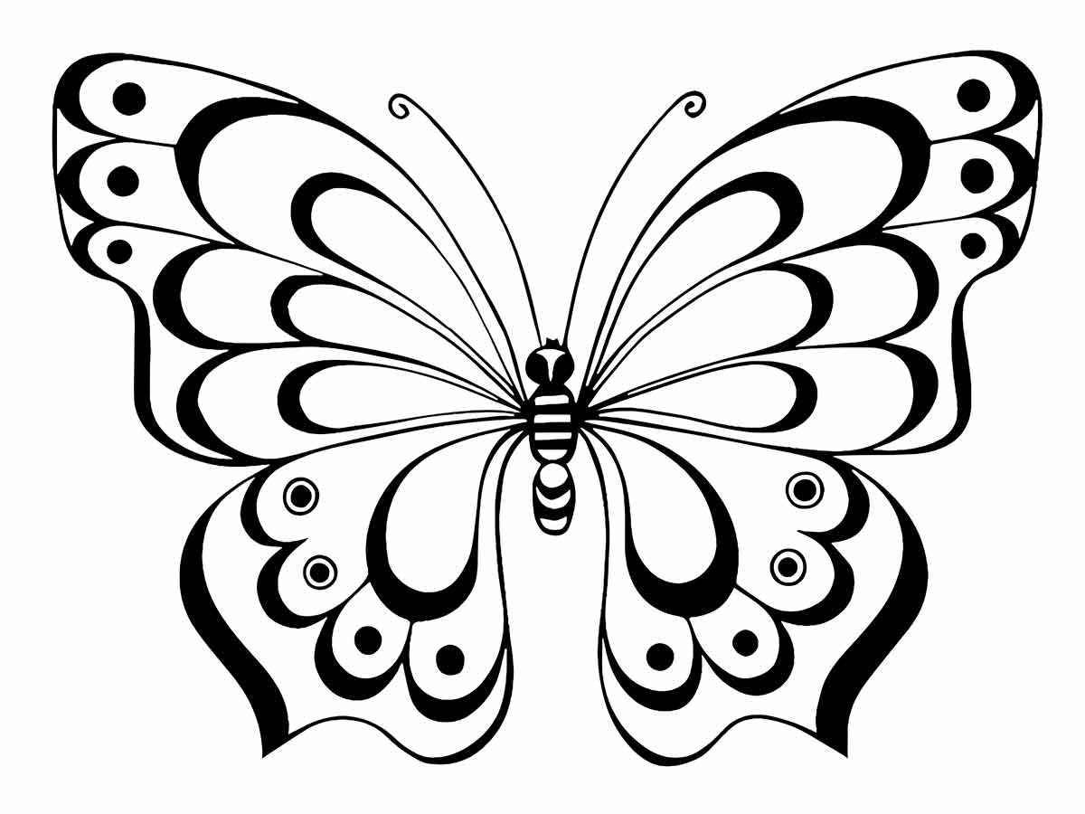 Butterflies to print and color