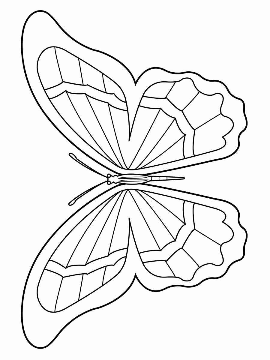 Butterfly coloring 2