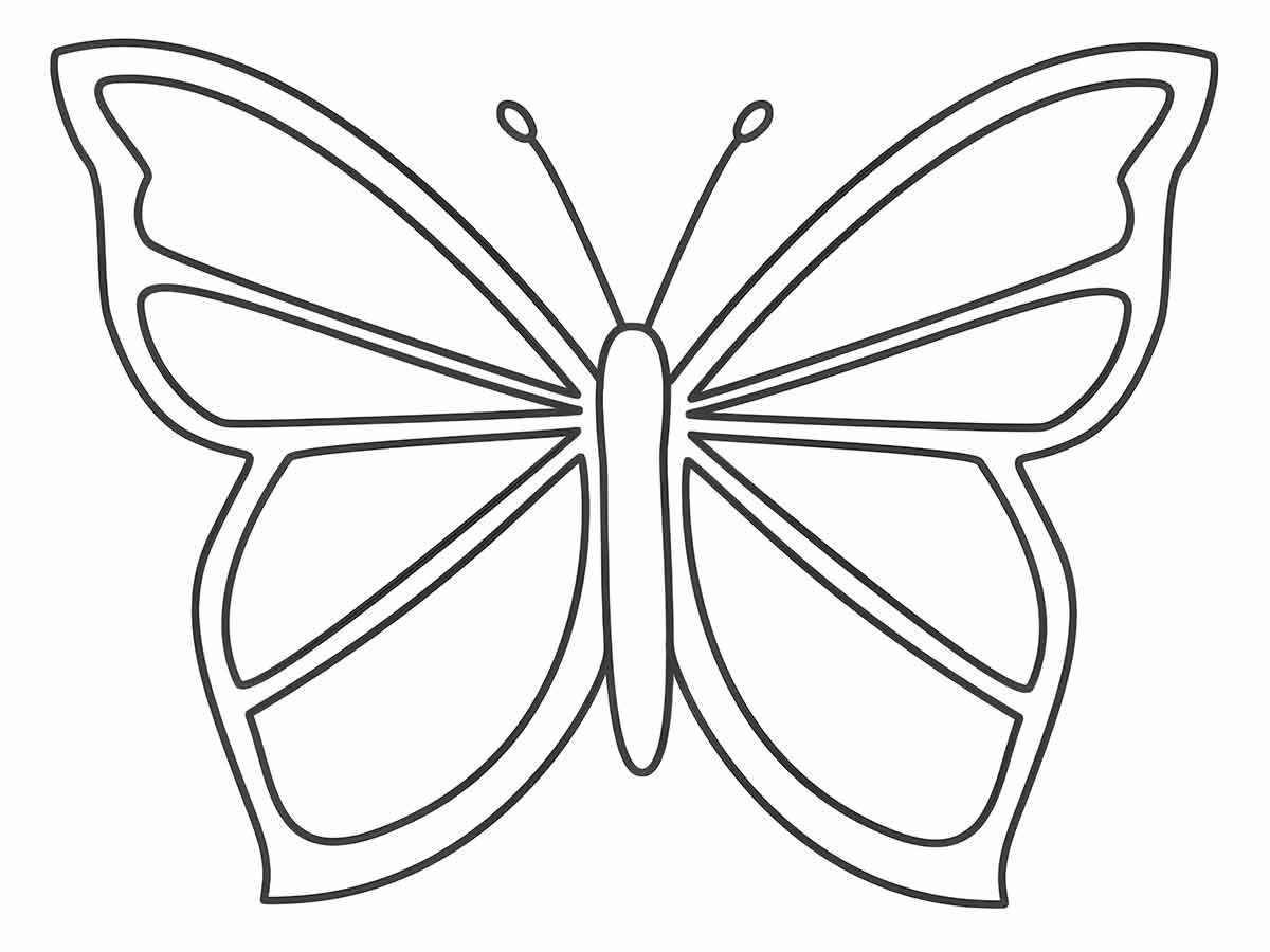 Free printable butterfly templates