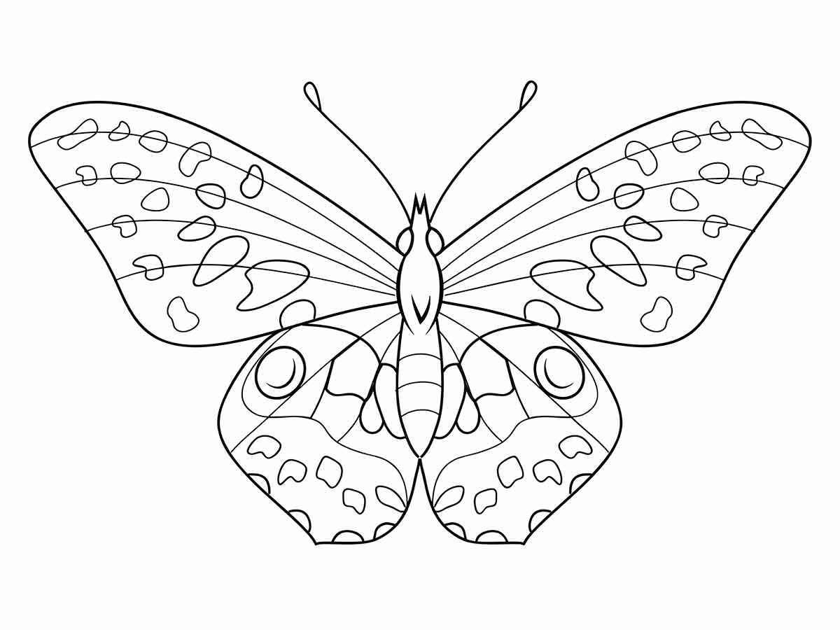 Butterfly coloring 8