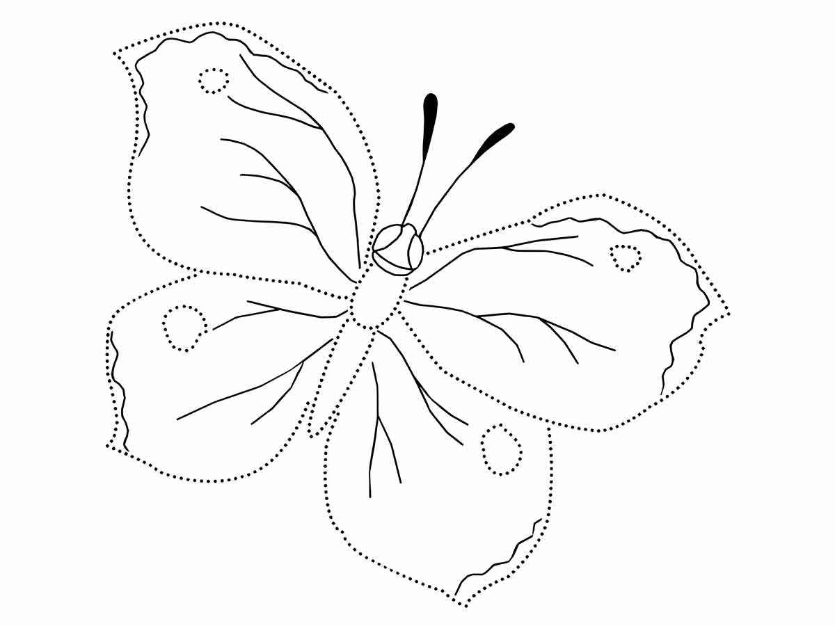 Educational butterfly drawing to color and paint