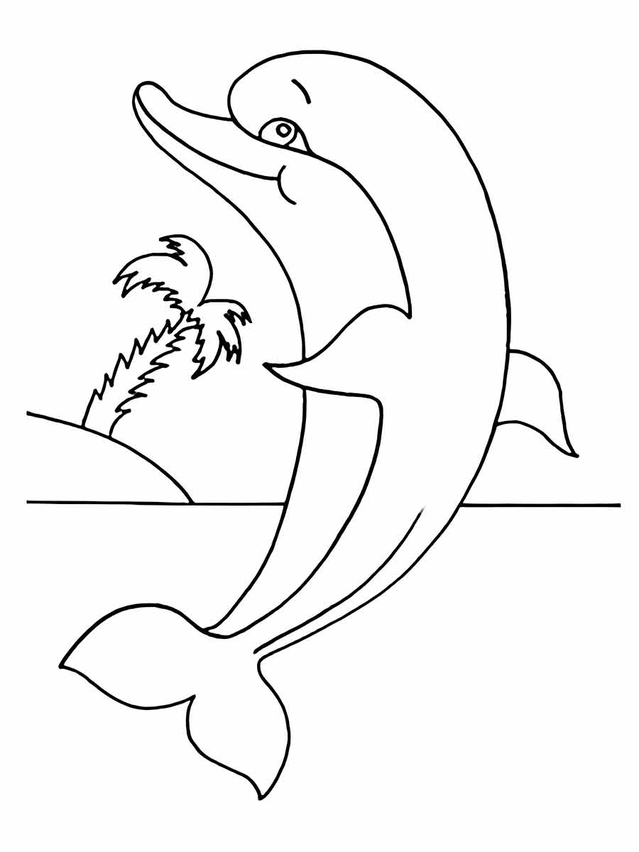 Dolphin Coloring Page