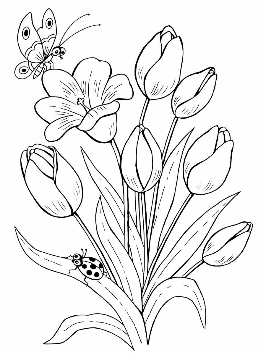 Tulip flowers to paint and color