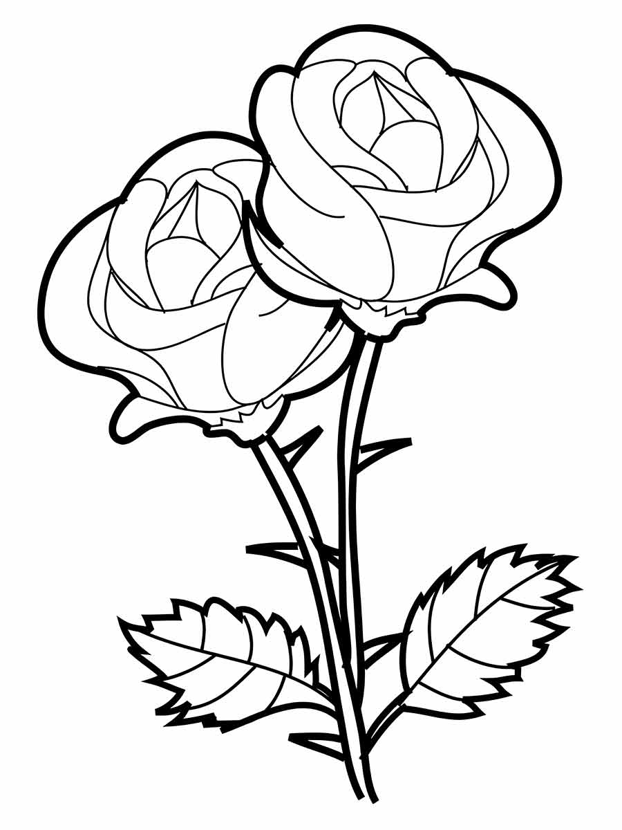 Flower coloring drawings