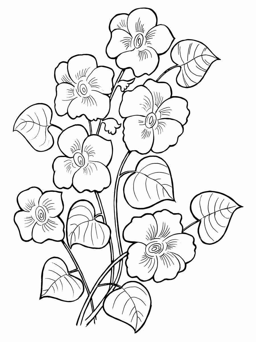 Flower coloring drawings