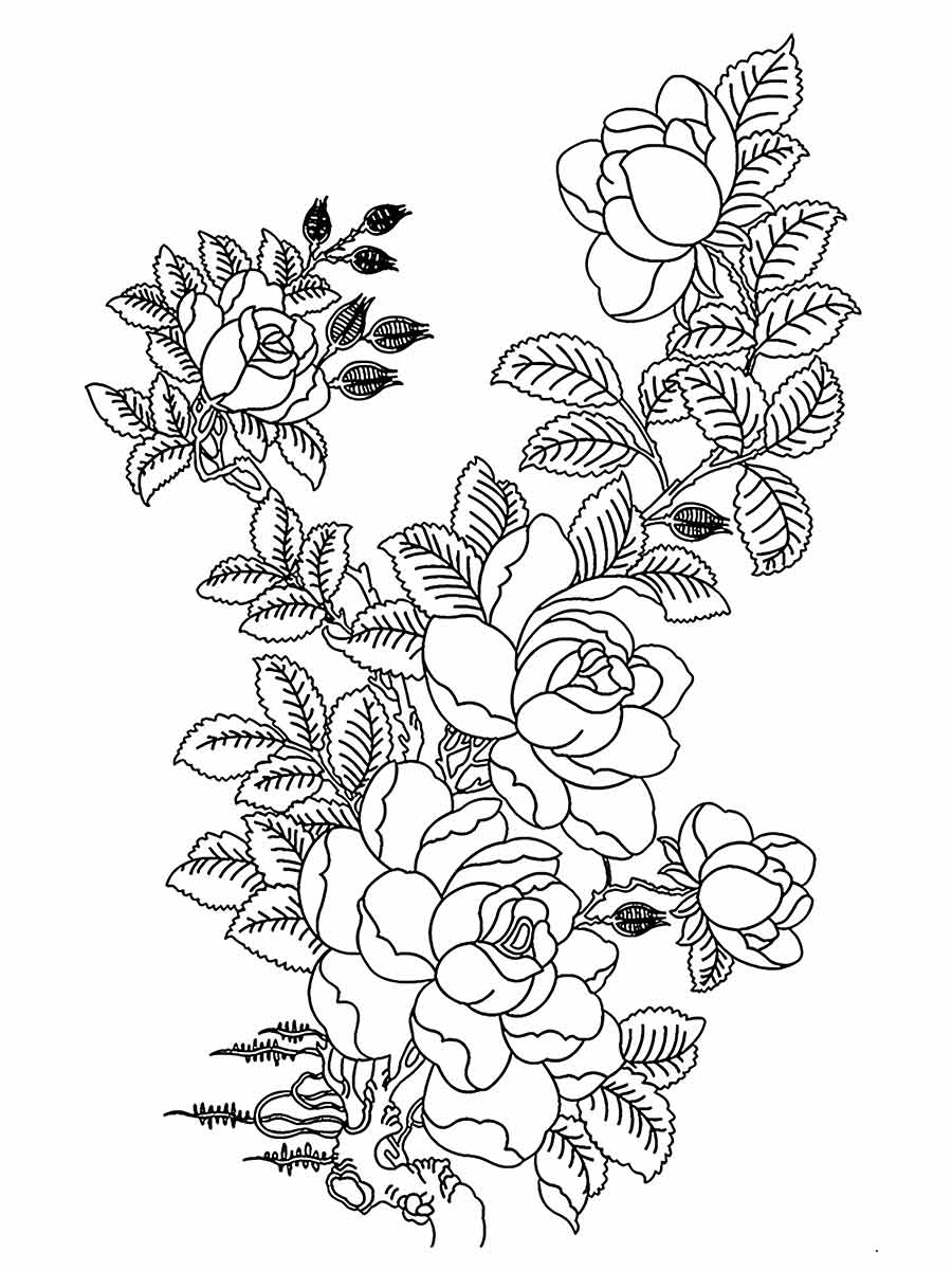 Flower coloring pages