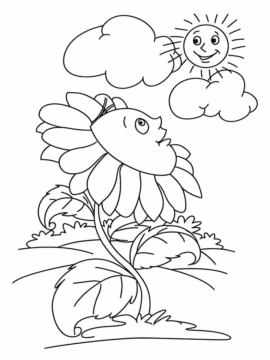 educational flower drawing