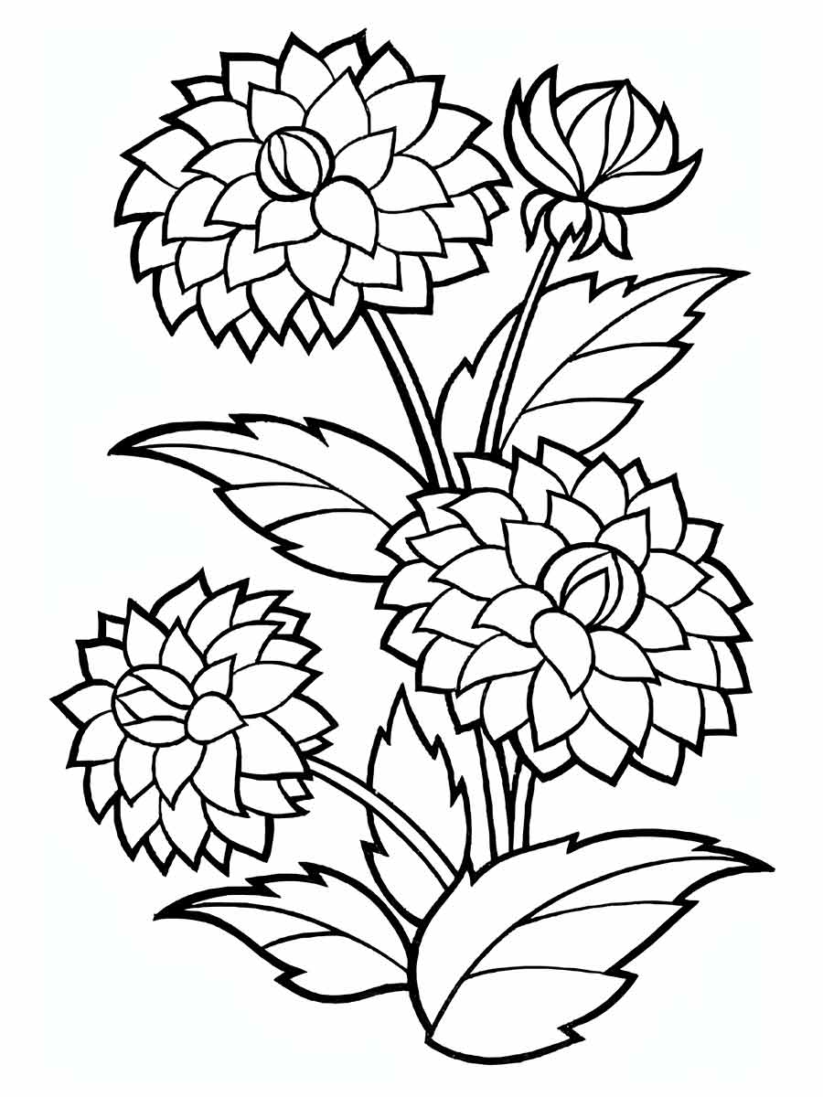 flower coloring and printing drawings