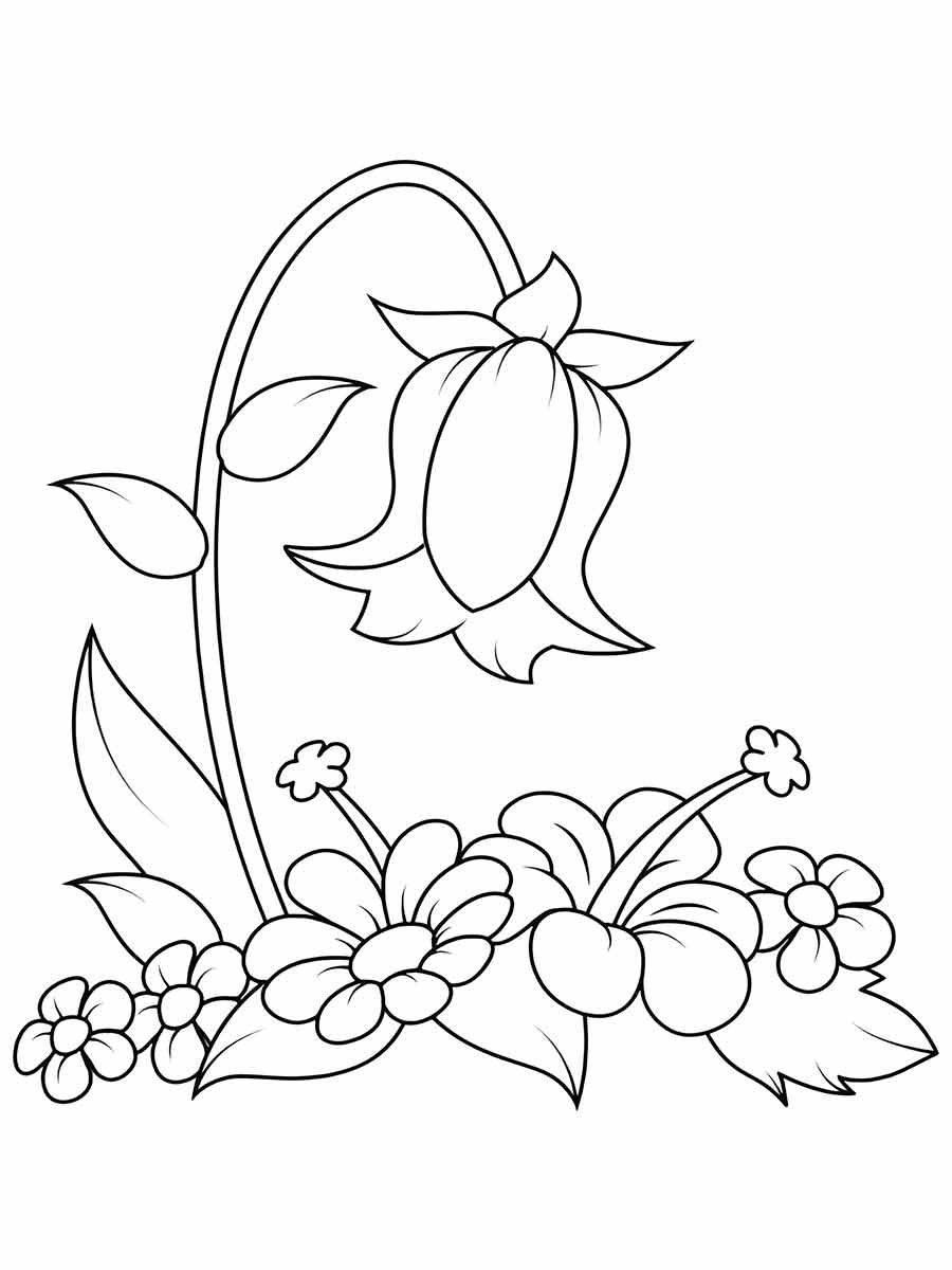 Flower coloring drawings