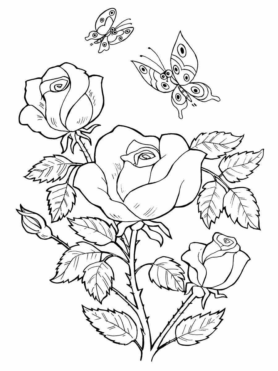 flower and butterfly coloring drawings