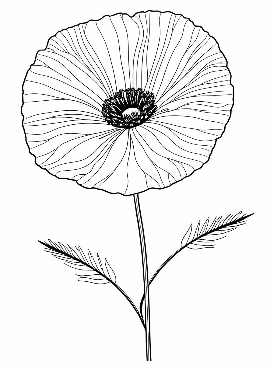 flower drawing to color