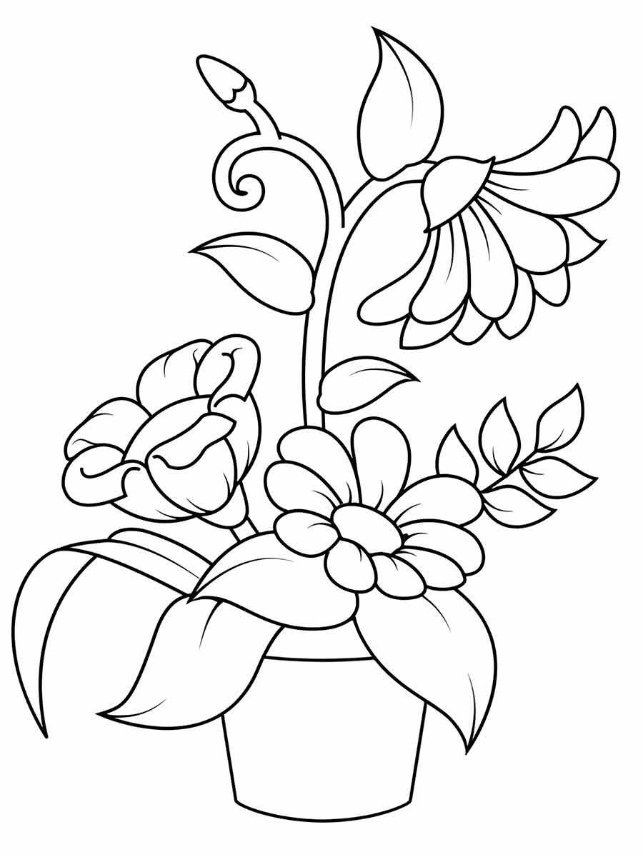 Flower coloring drawings