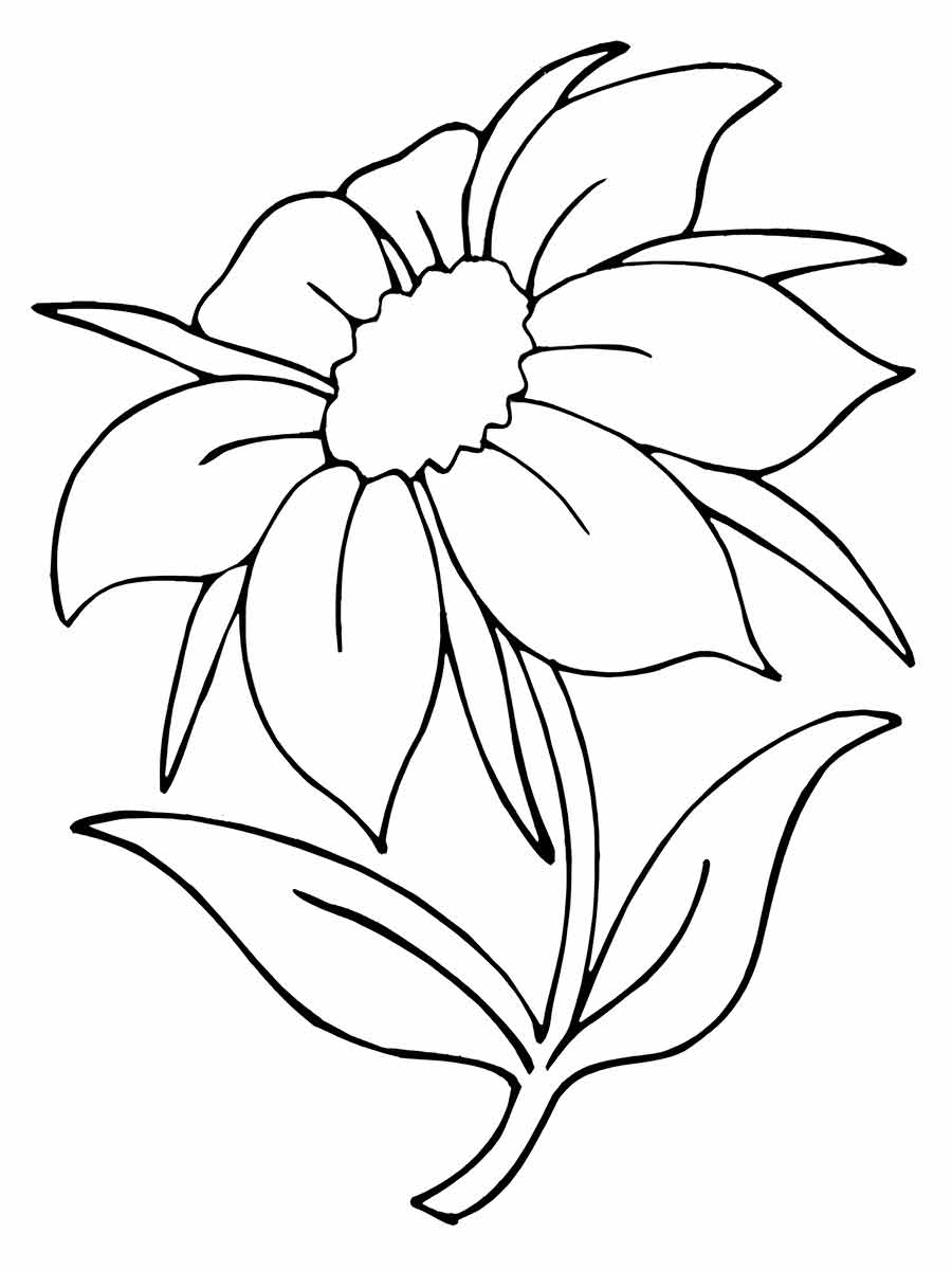 flower to color and paint