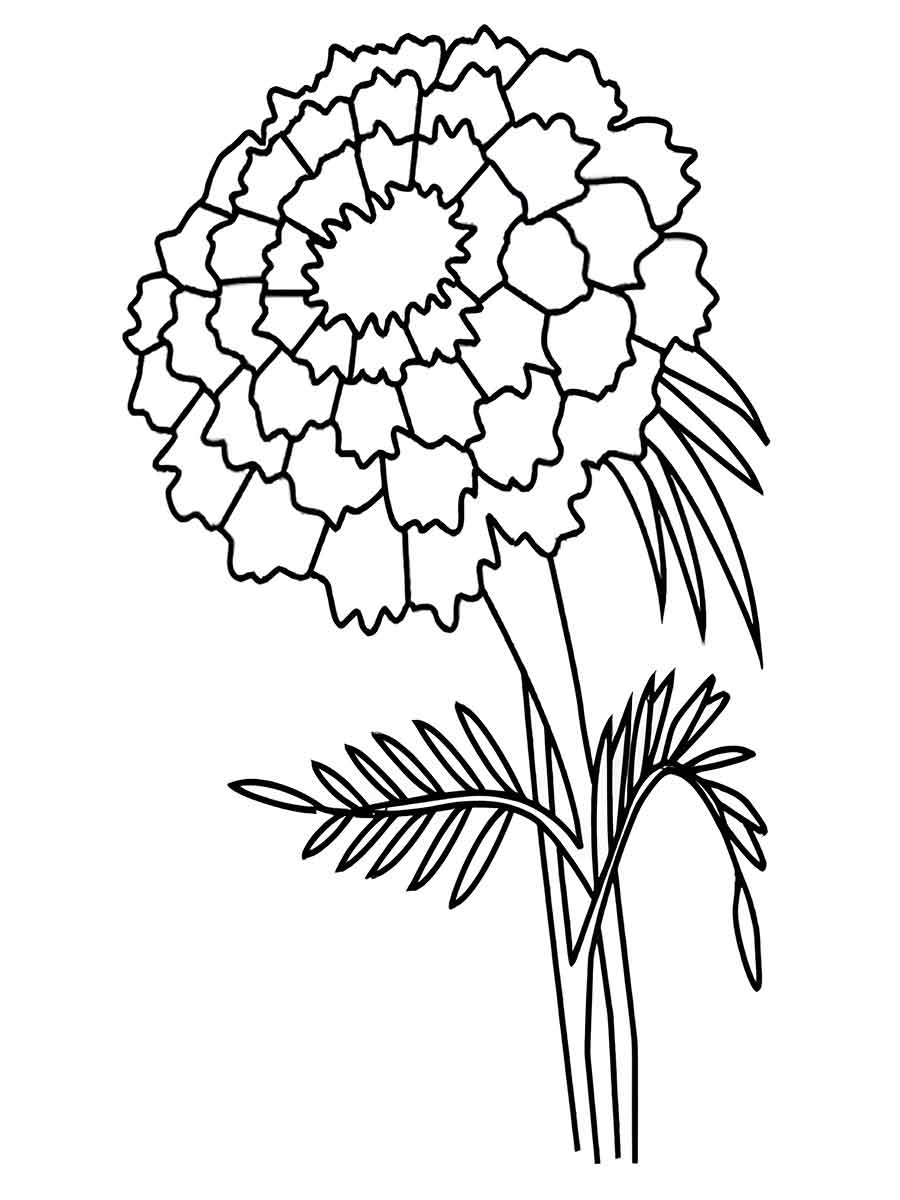 Flower to color and print