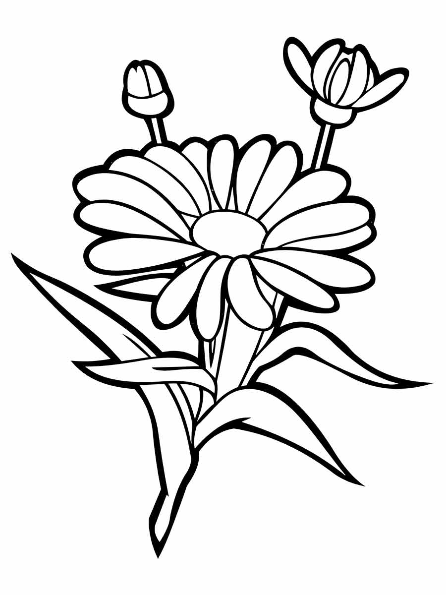 flower drawings to paint and print