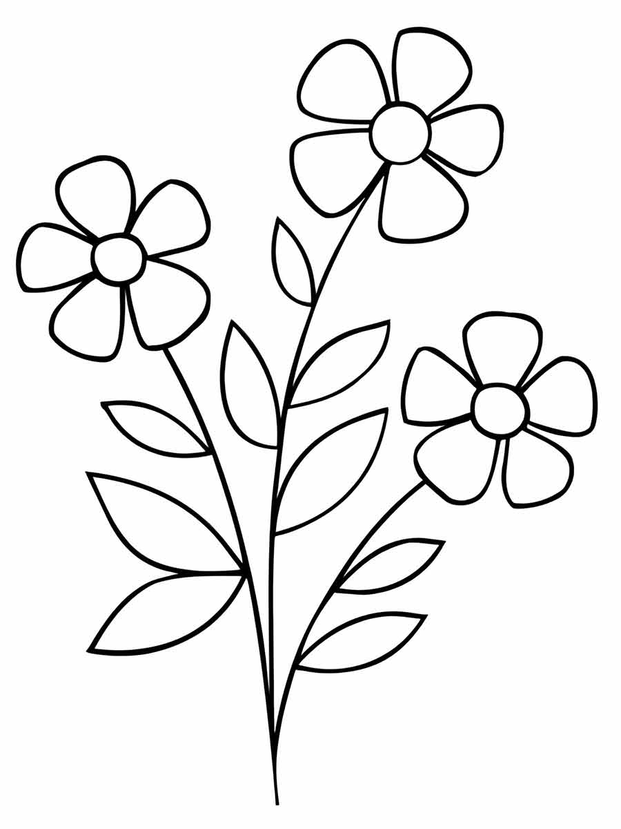 Flower drawing