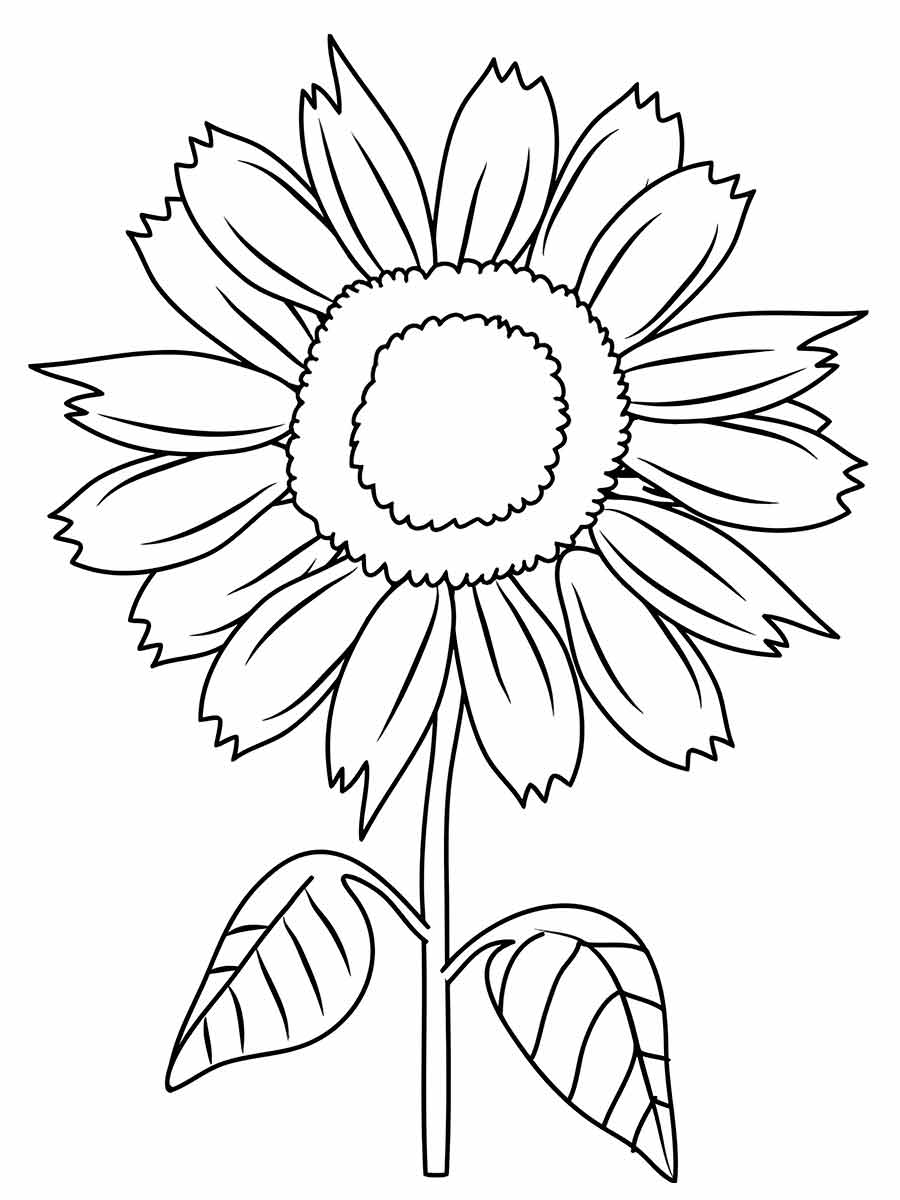 flower coloring drawings