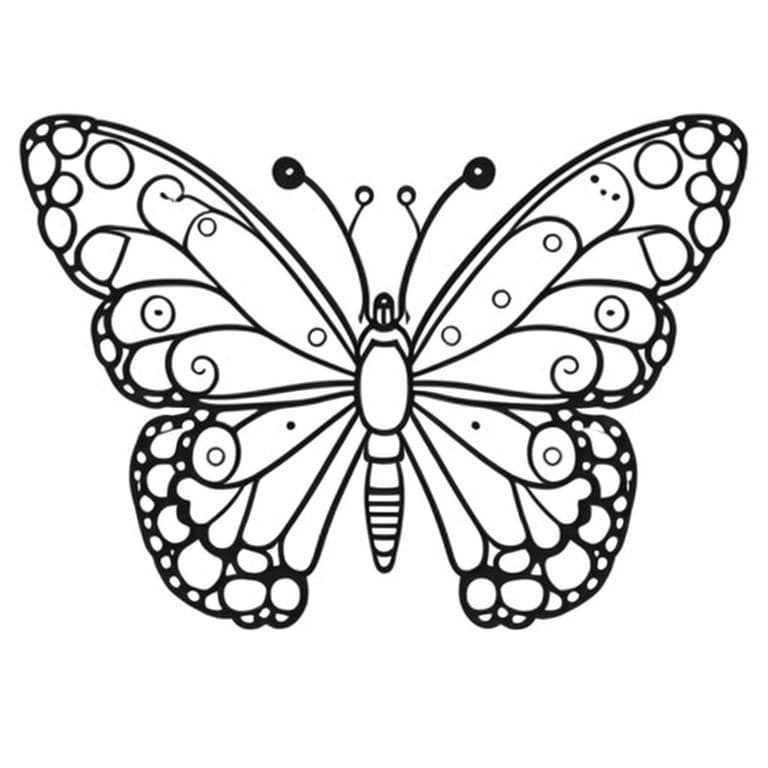 Drawings of butterflies with geometric patterns