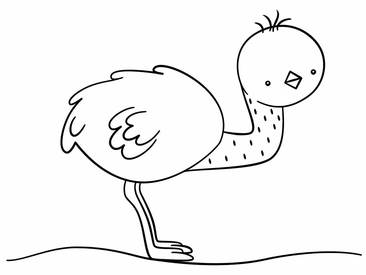 Kawaii ostrich to color