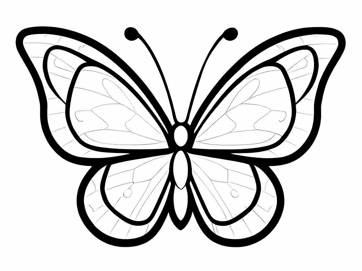 Butterfly coloring picture for kids