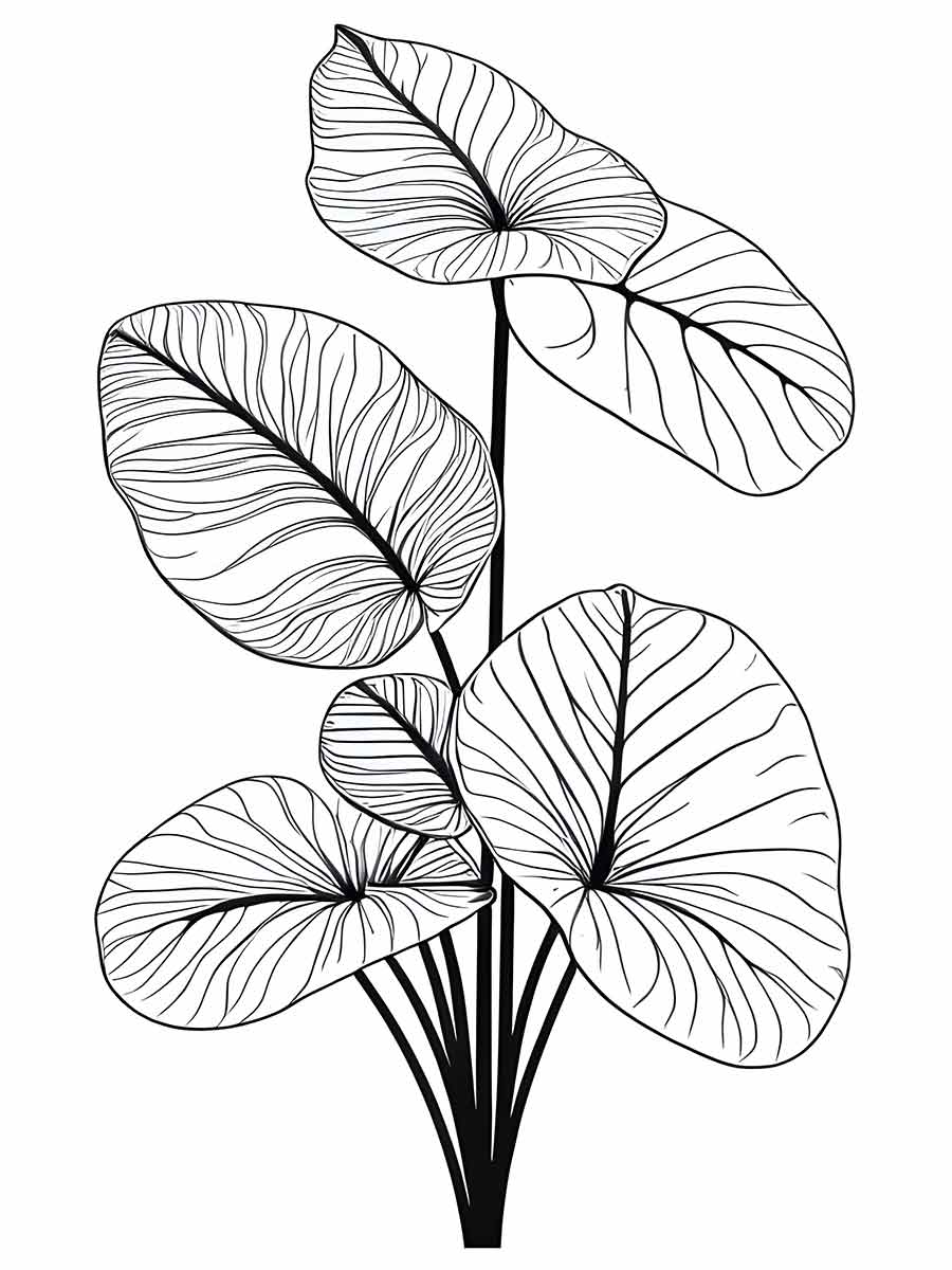 plant leaves and stems drawing to print