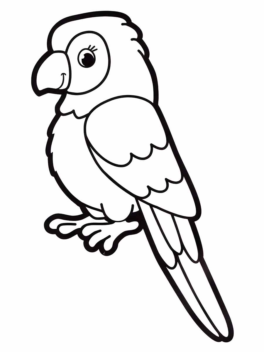 Bird coloring page