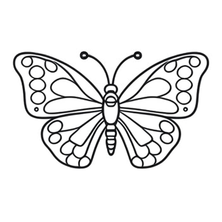 Drawing of a Luísa butterfly to be colored or painted