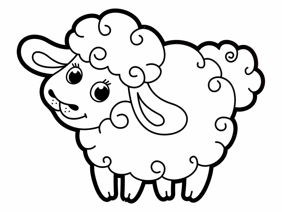 Sheep coloring page