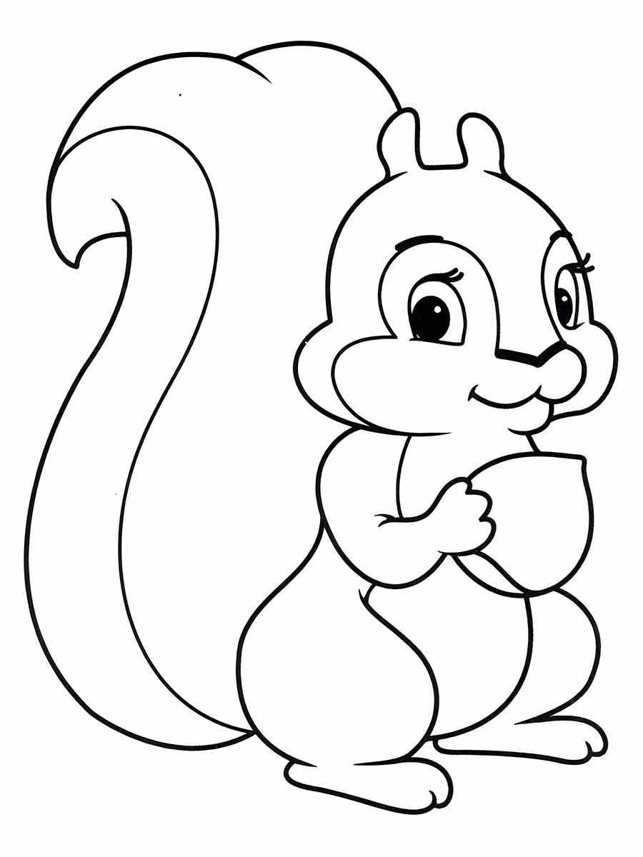 Squirrel Coloring Page