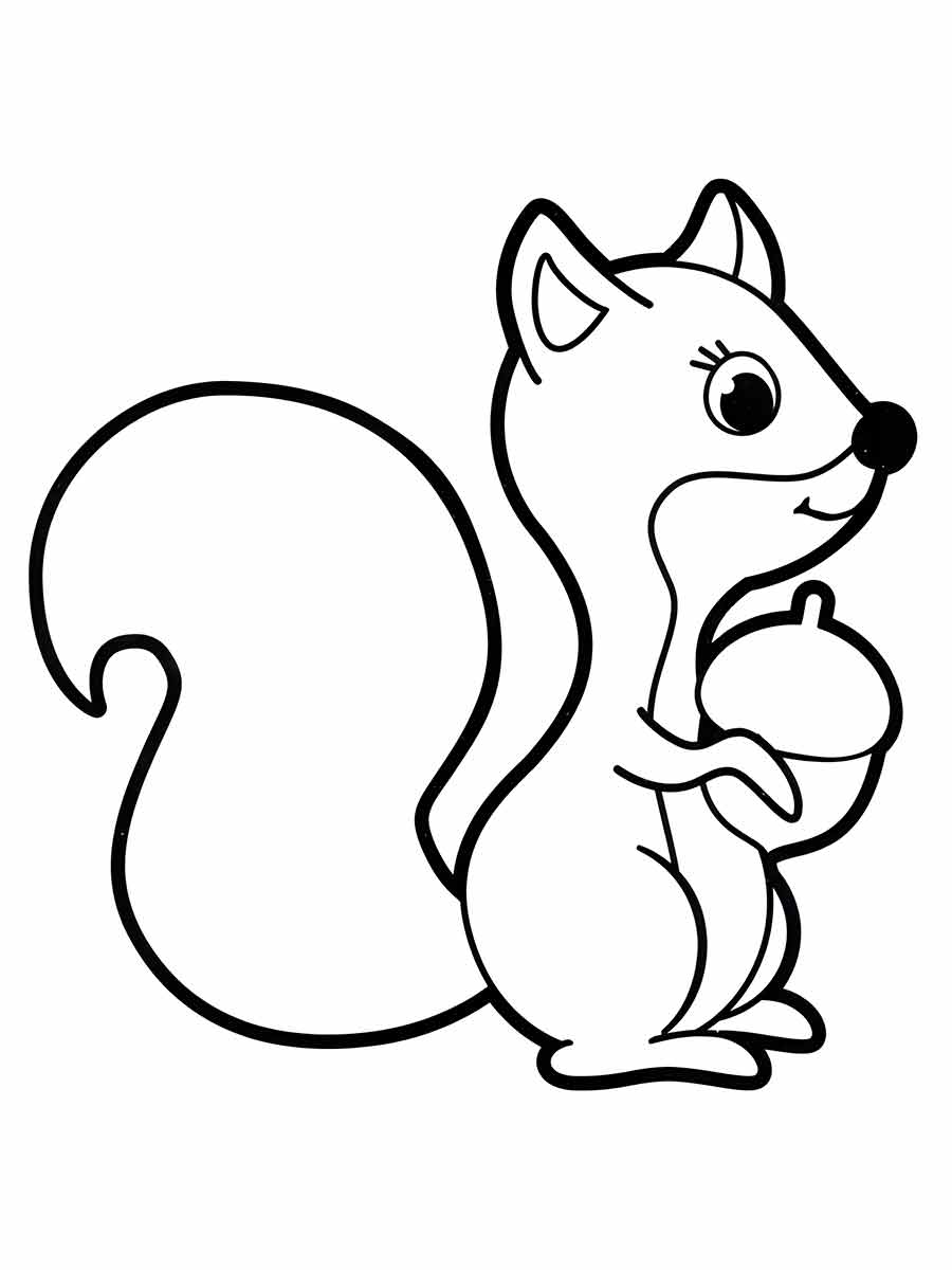 Squirrel coloring page