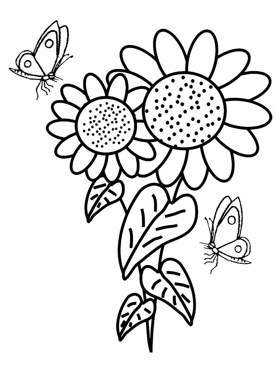 Coloring drawings of flowers and butterflies