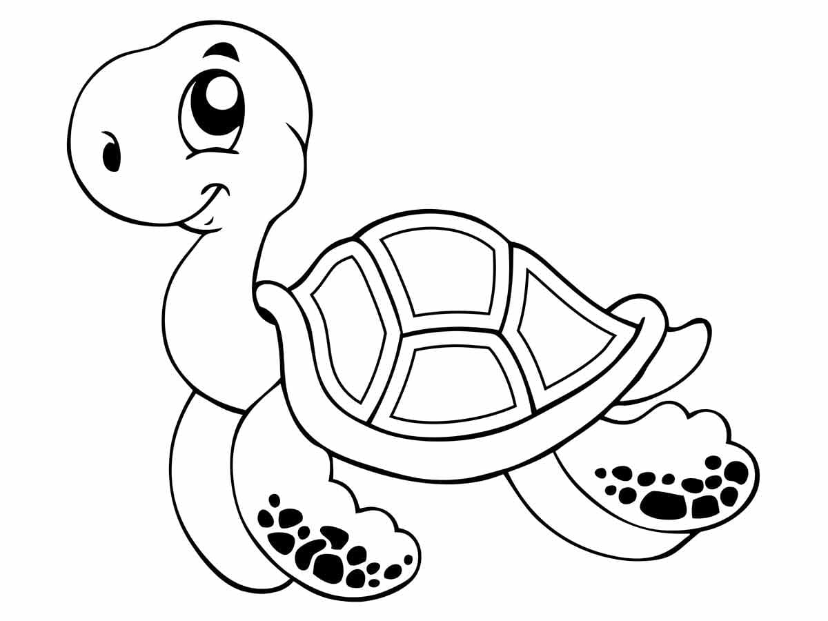 Turtle Coloring Page for Kids