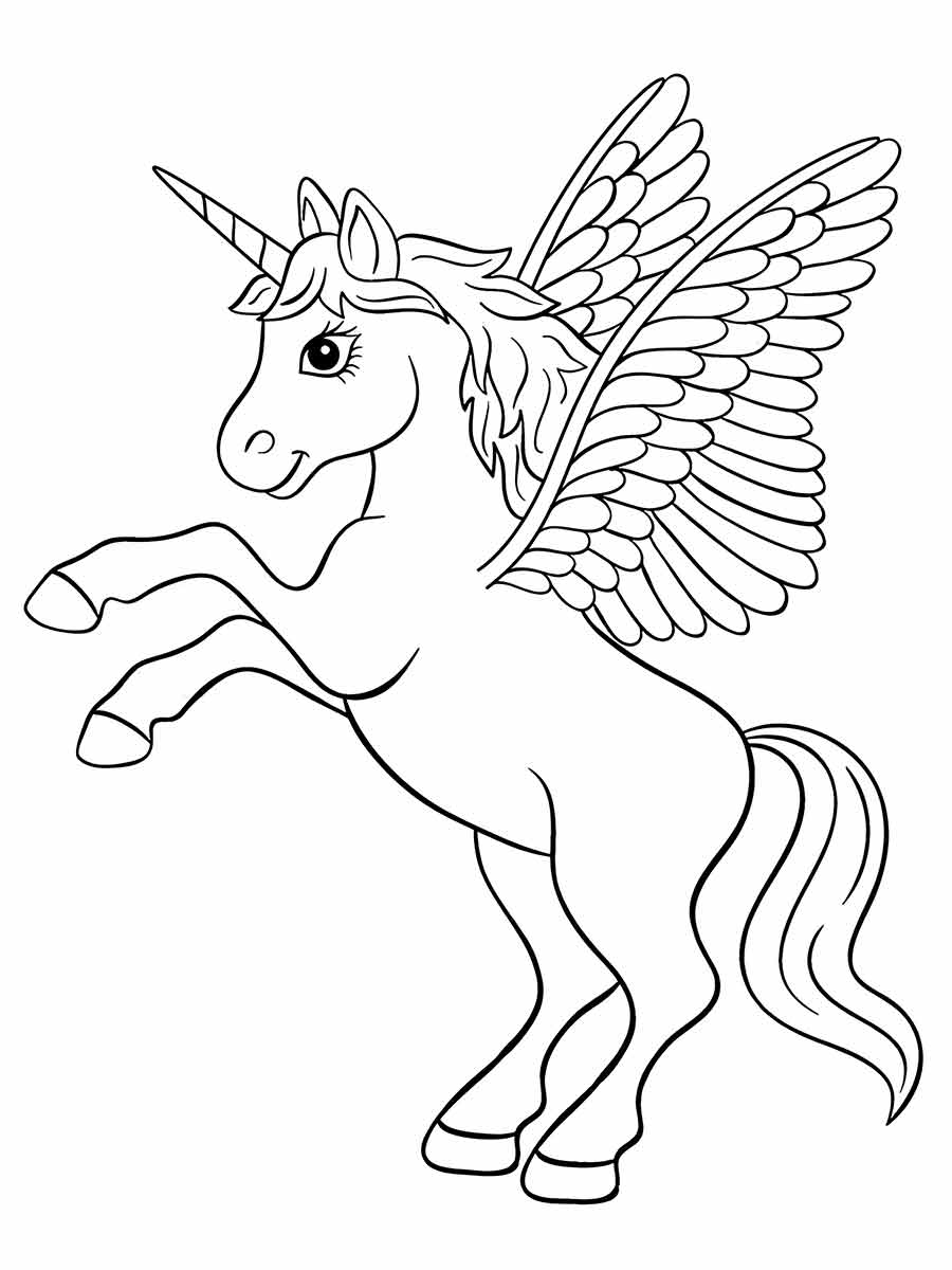 Unicorn Drawing for Painting