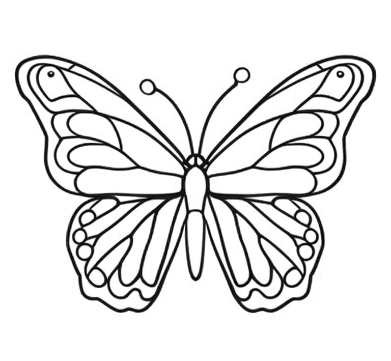 Butterfly drawings to color and paint with watercolor