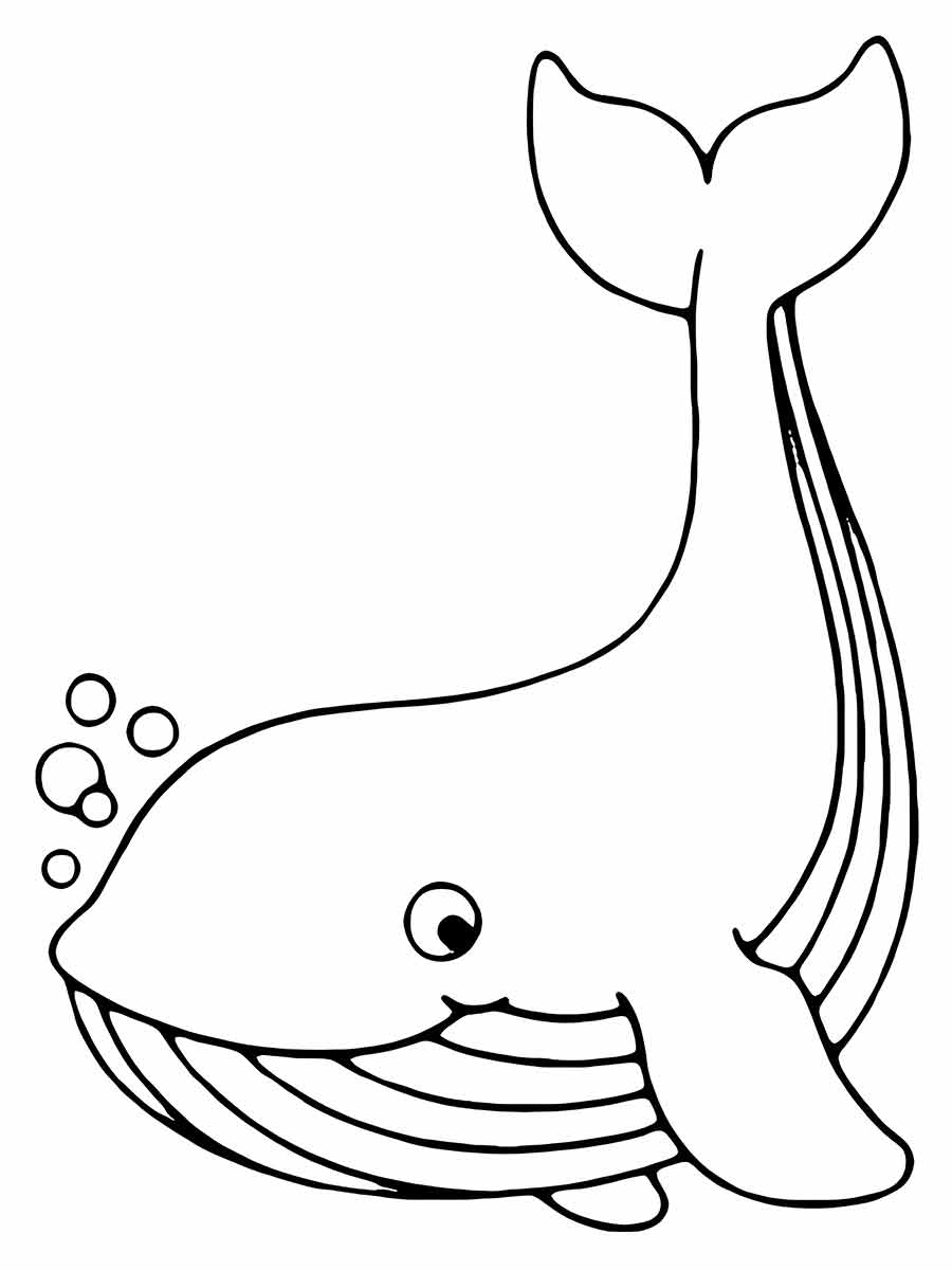 Whale Coloring Page