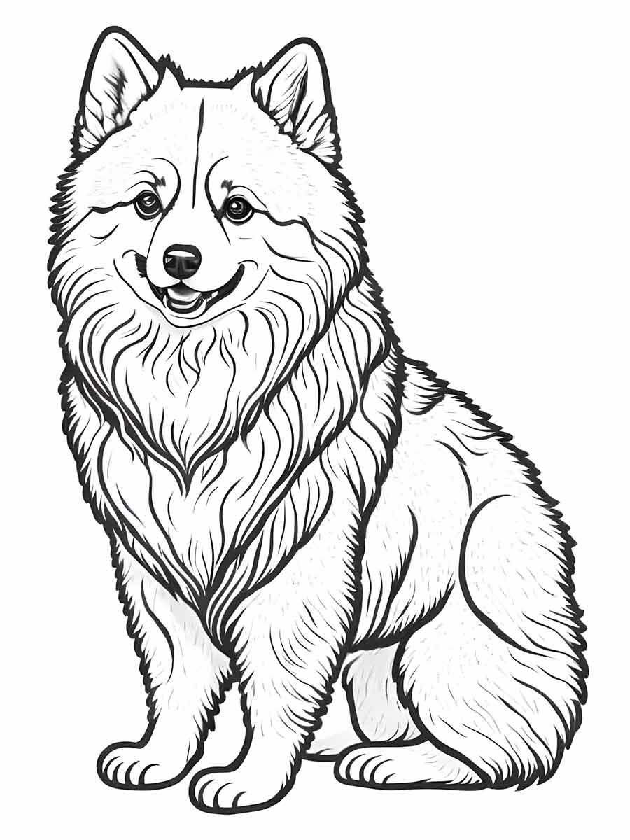 American Eskimo dog coloring page